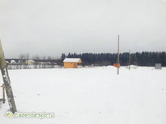 Коттеджный поселок  Чикинское озеро, Гатчинский район. Актуальное фото.