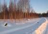 Коттеджный поселок  Золотая Роща, Ленинградская область. Фото
