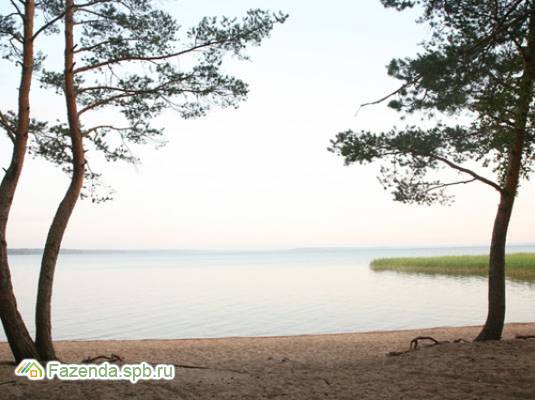 Коттеджный поселок  Глубокое озеро, Выборгский район. Актуальное фото.