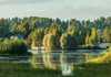 Коттеджный поселок  Озерный Край, Ленинградская область. Фото