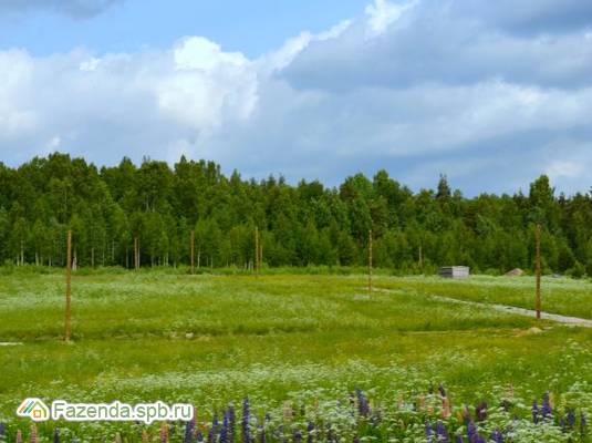 Коттеджный поселок  Финские холмы, Всеволожский район. Актуальное фото.