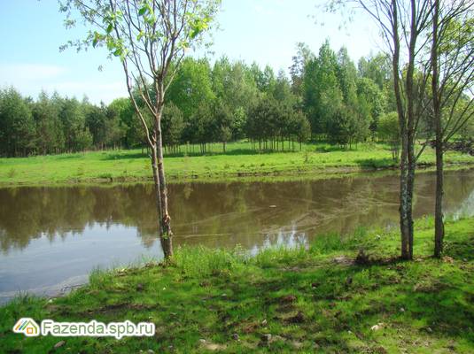 Коттеджный поселок  Озеро Лунное, Выборгский район. Актуальное фото.