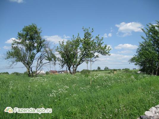 Коттеджный поселок  Алакюля, Ломоносовский район. Актуальное фото.