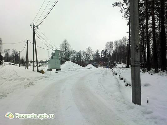 Коттеджный поселок  Приозёрное, Всеволожский район. Актуальное фото.
