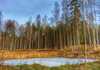 Коттеджный поселок  Лесной Хутор, Ленинградская область. Фото