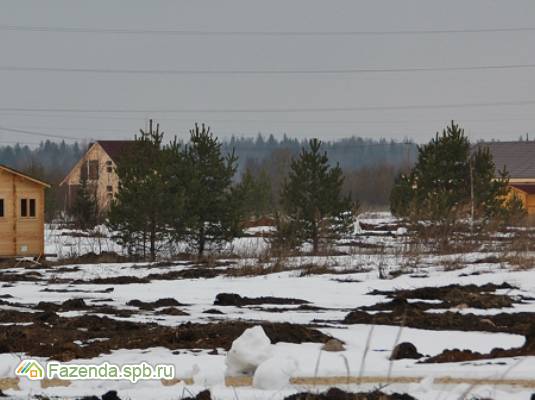 Коттеджный поселок  Голубые озера, Гатчинский район. Актуальное фото.