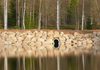 Коттеджный поселок  Стеклянный ручей, Ленинградская область. Фото