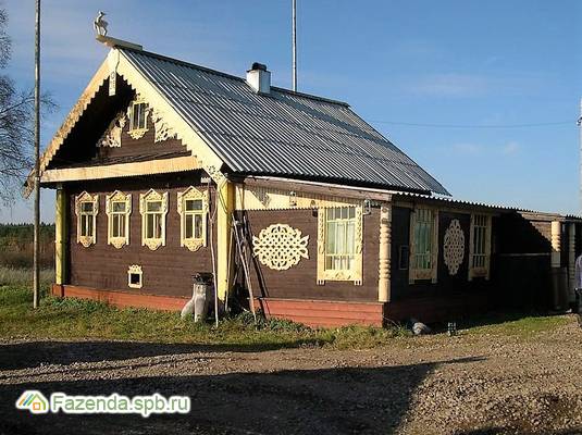 Продажа загородного дома 100 кв.м., Пашозеро.