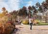 Коттеджный поселок  Репино Парк, Ленинградская область. Фото
