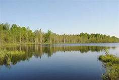 Рядом с Кирсинские сады расположен Коттеджный поселок  Старостинское озеро 