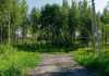 Коттеджный поселок  Рохминские дачи, Ленинградская область. Фото